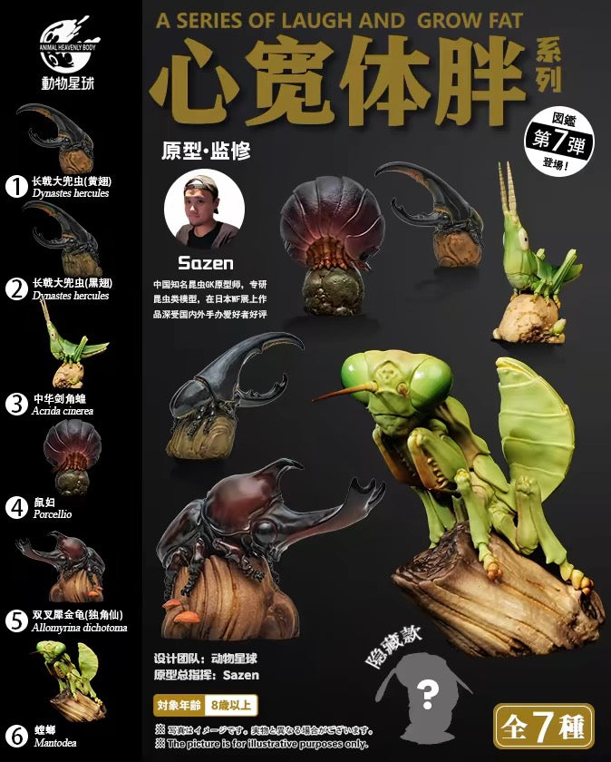 Oriental Longheaded Grasshopper | Acrida Cinerea