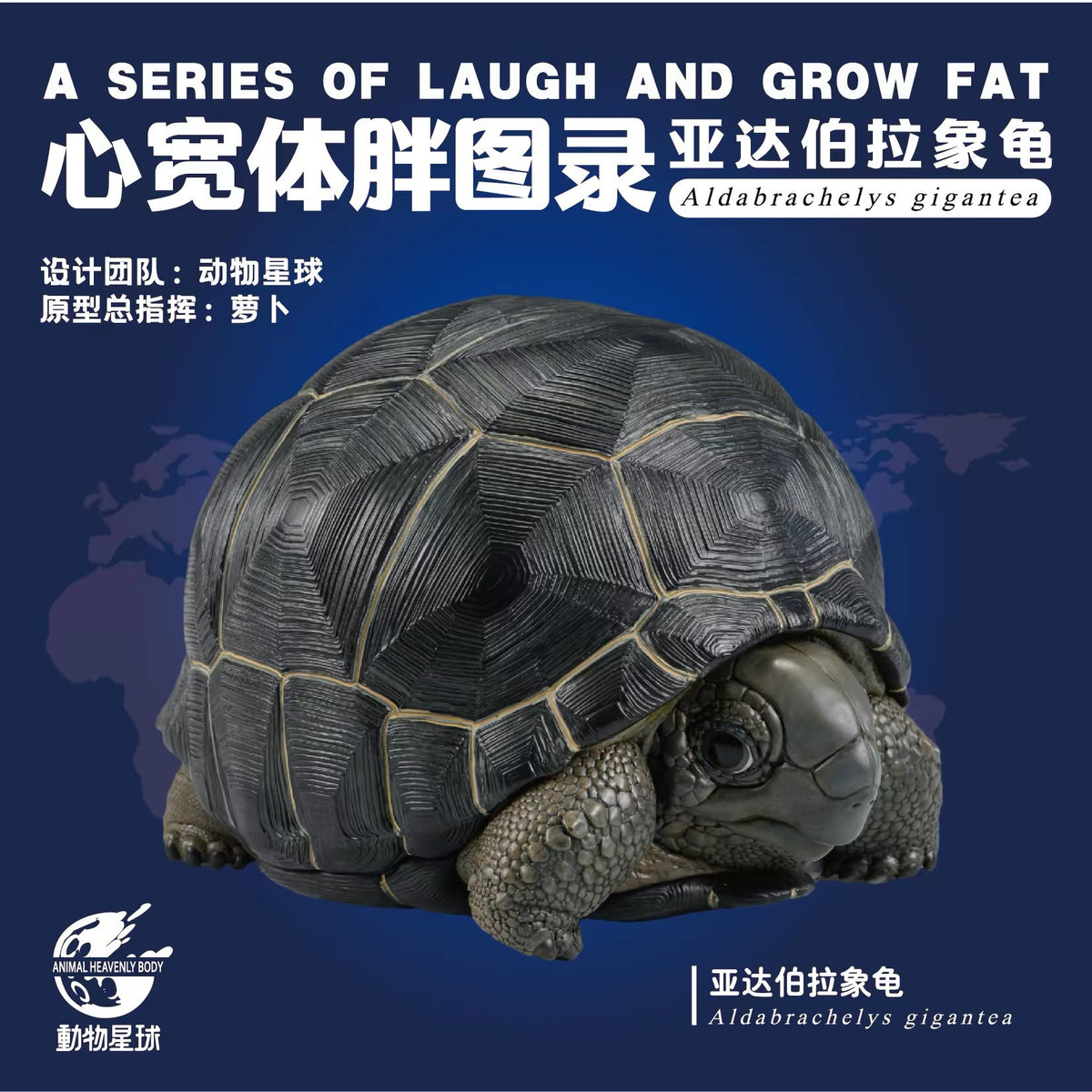 Aldabra Giant Tortoise | Aldabrachelys Gigantea
