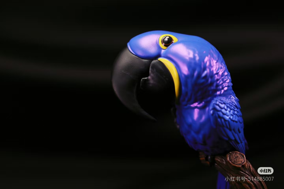Hyacinth Macaw | Anodorhynchus Hyacinthinus