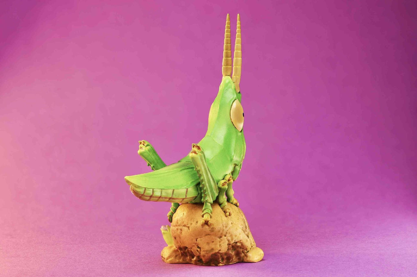 Oriental Longheaded Grasshopper | Acrida Cinerea