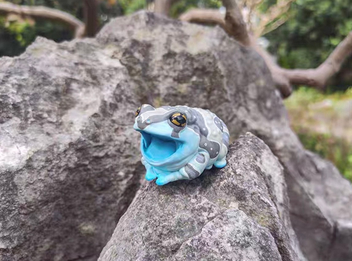 Amazon Milk Frog | Trachycephalus Resinifictrix