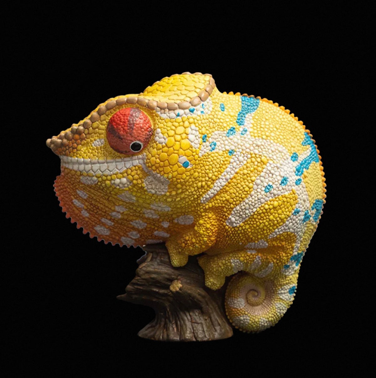 Panther Chameleon | Furcifer Pardalis