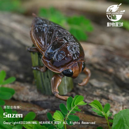 Giant Water Bug | Lethocerus Deyrollei