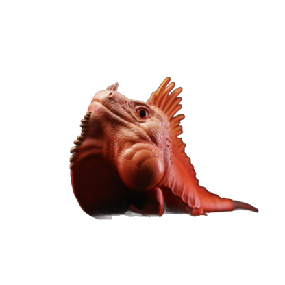 Green Iguana (Red Albino) | Iguana Iguana
