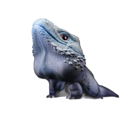 Blue Iguana | Cyclura Lewisi