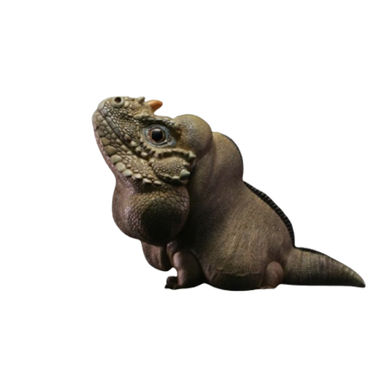 Rhinoceros Iguana | Cyclura Cornuta