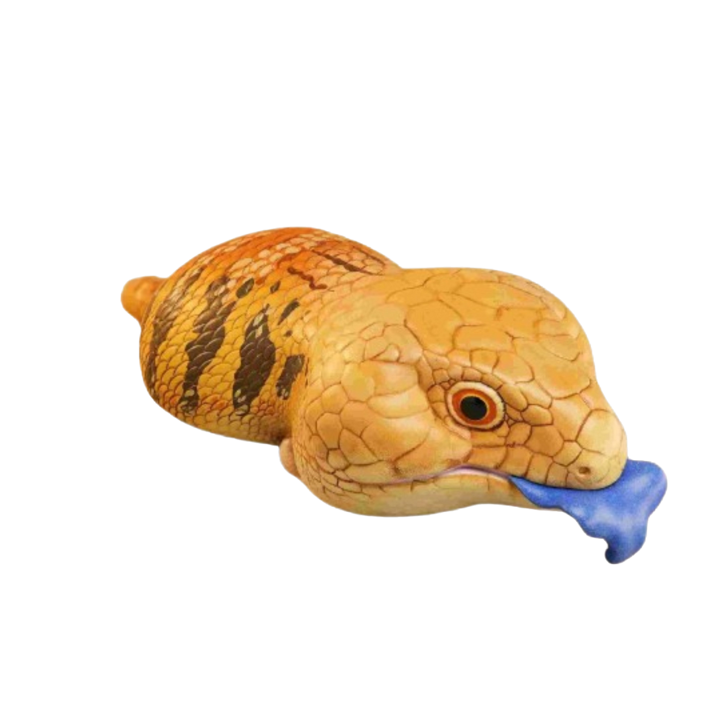Blue-Tongued Skink | Tiliqua Scincoides