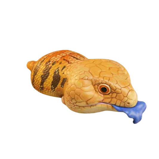 Blue-Tongued Skink | Tiliqua Scincoides