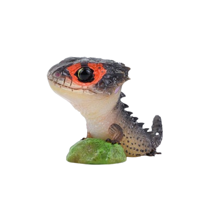 Red-eyed Crocodile Skink | Tribolonotus Gracilis