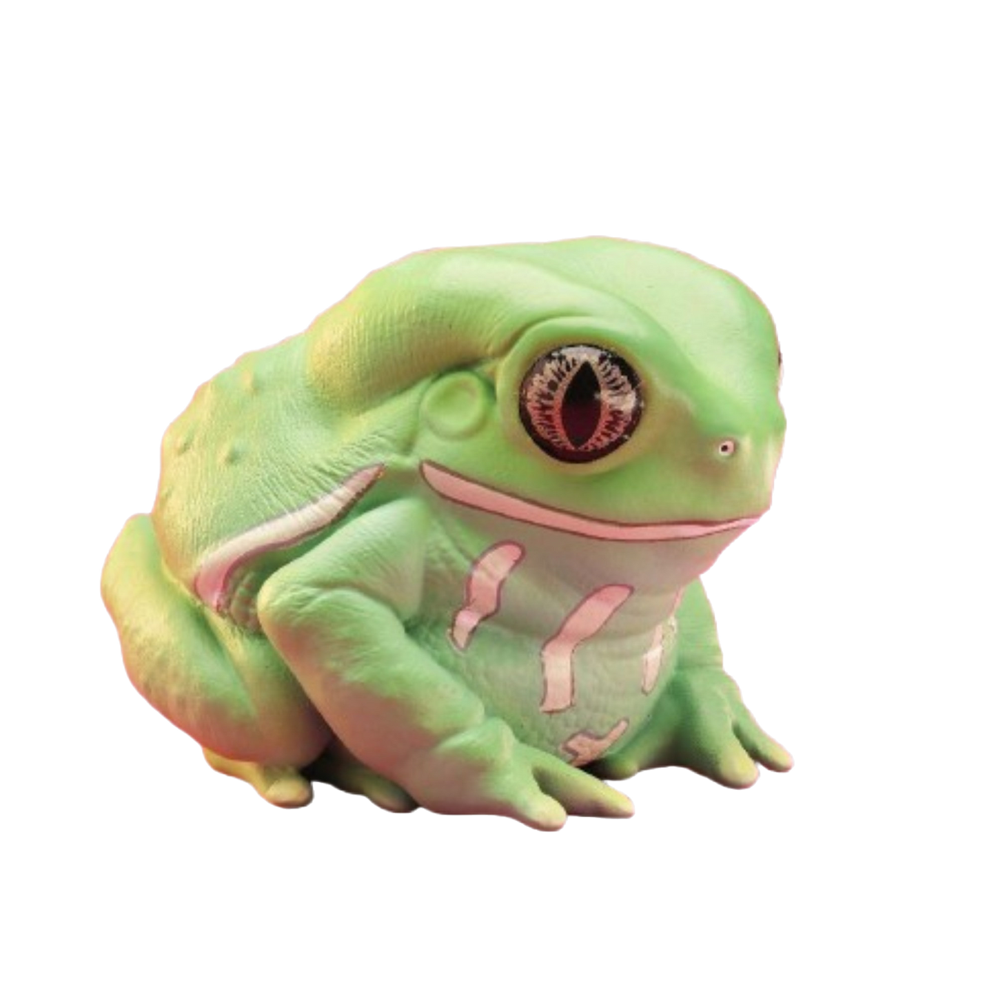 Waxy Monkey Tree Frog | Phyllomedusa Sauvagii