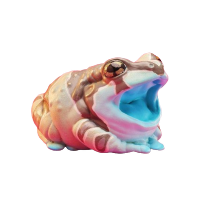 Amazon Milk Frog | Trachycephalus Resinifictrix