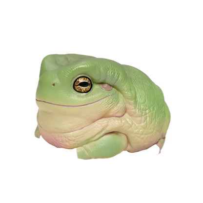 Green Tree Frog | Litoria Caerulea