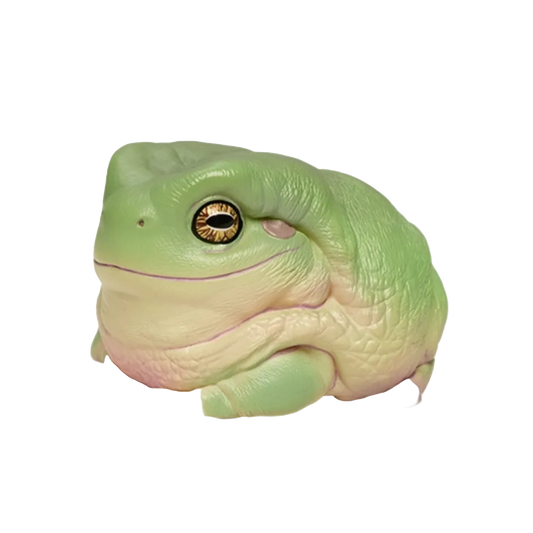 Green Tree Frog | Litoria Caerulea
