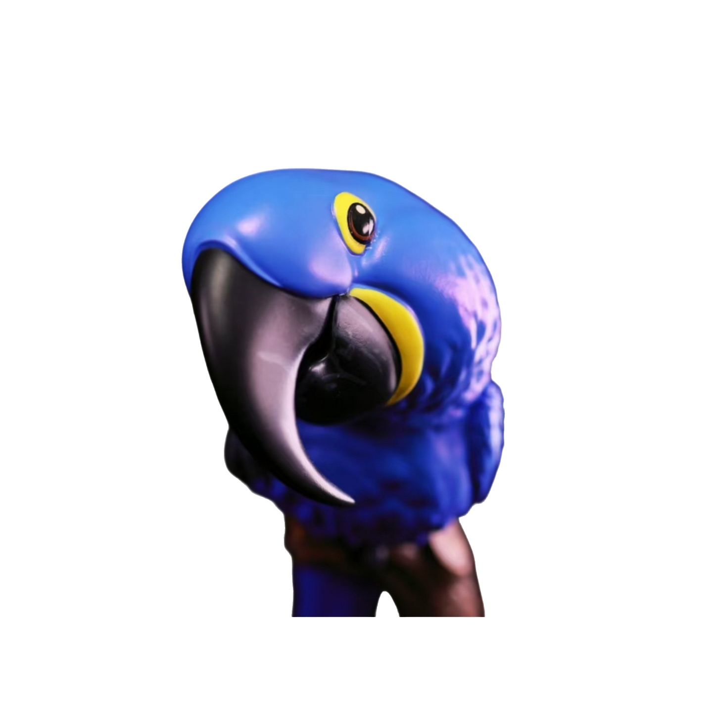Hyacinth Macaw | Anodorhynchus Hyacinthinus