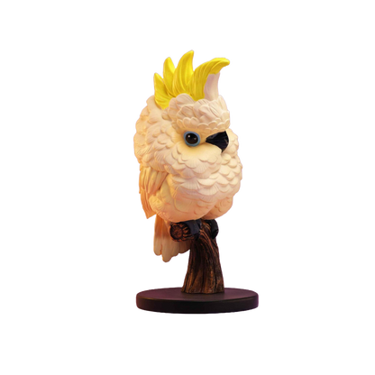 Sulphur-crested Cockatoo | Cacatua Galerita