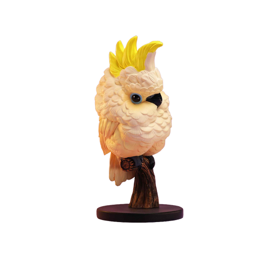 Sulphur-crested Cockatoo | Cacatua Galerita