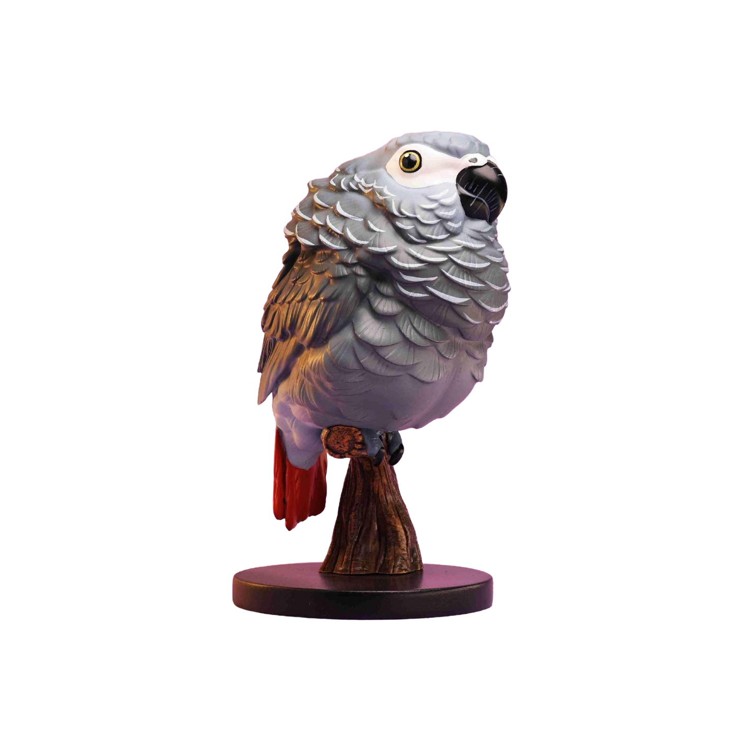 African Grey Parrot | Psittacus Erithacus