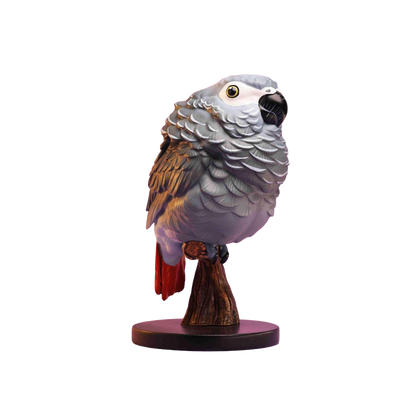 African Grey Parrot | Psittacus Erithacus