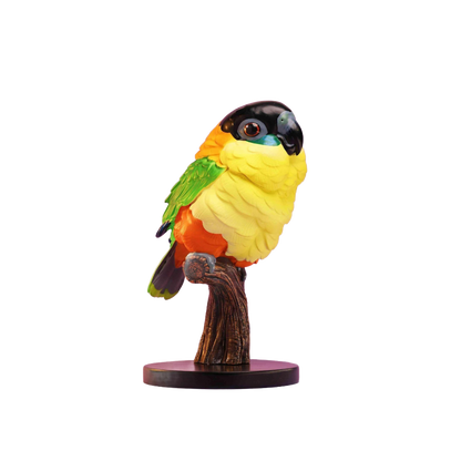 Black-headed Caique | Pionites Melanocephalus