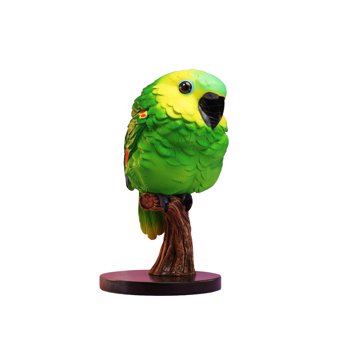 Blue-crowned Parakeet | Thectocercus Acuticaudatus