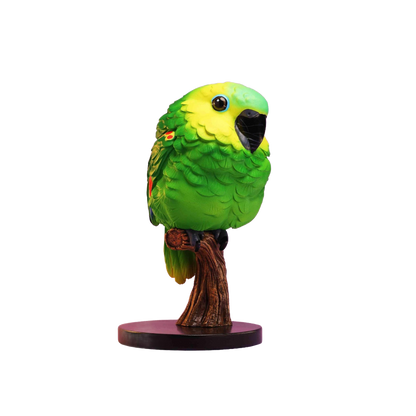 Blue-crowned Parakeet | Thectocercus Acuticaudatus