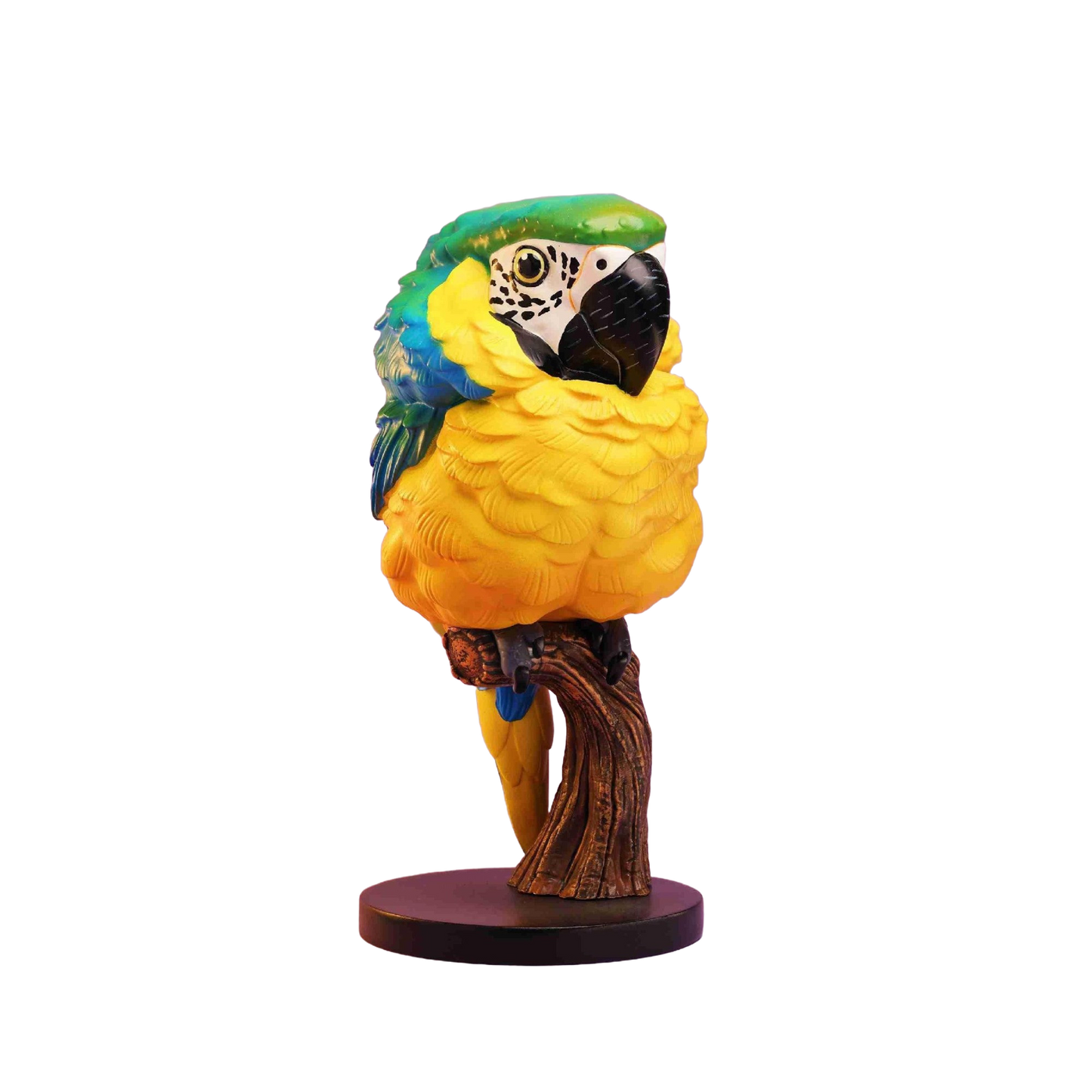 Blue-and-yellow Macaw | Ara Ararauna