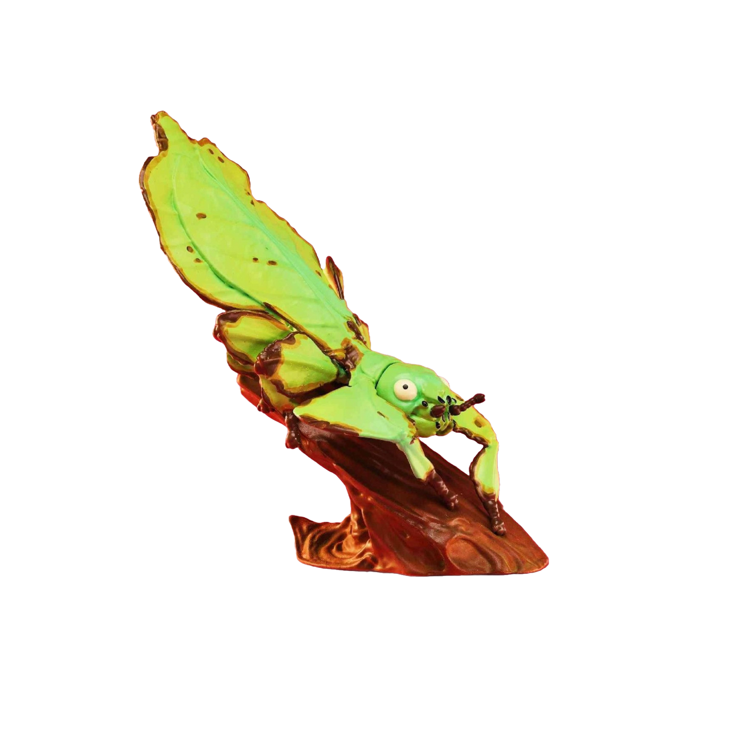 Giant Leaf Insect | Pulchriphyllium Giganteum