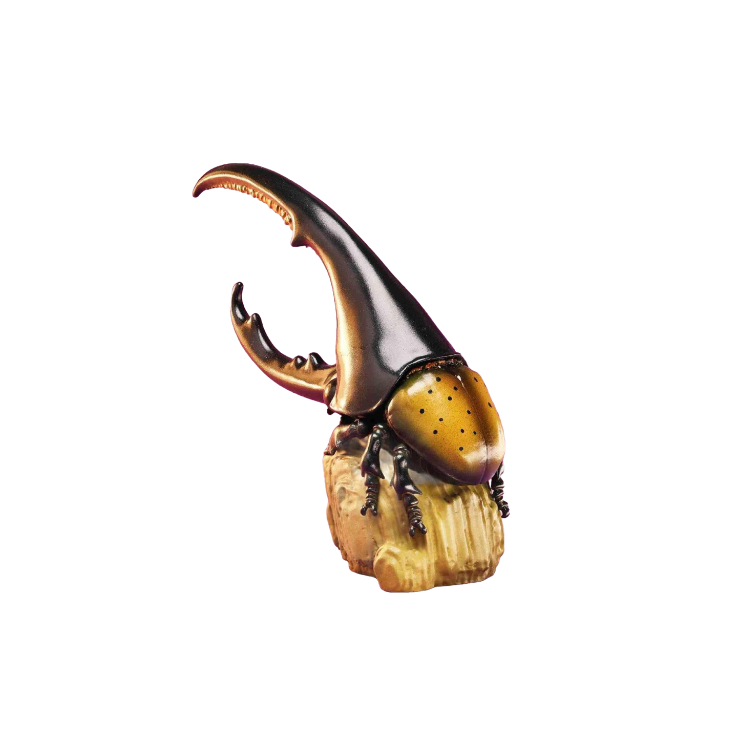 Hercules Beetle (Yellow Wing) | Dynastes Hercules