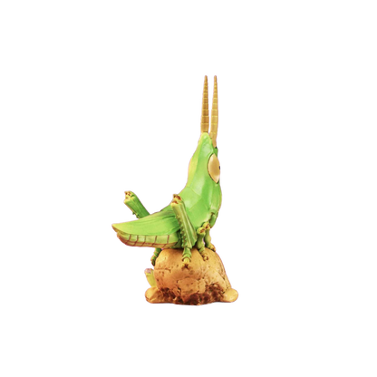 Oriental Longheaded Grasshopper | Acrida Cinerea