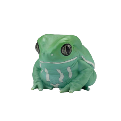 Waxy Monkey Tree Frog | Phyllomedusa Sauvagii