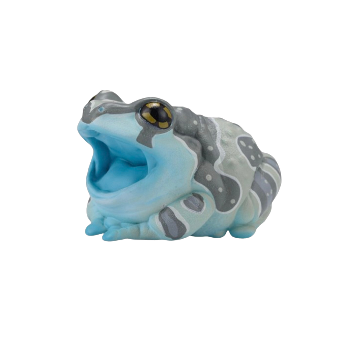 Amazon Milk Frog | Trachycephalus Resinifictrix