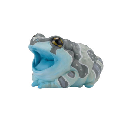 Amazon Milk Frog | Trachycephalus Resinifictrix