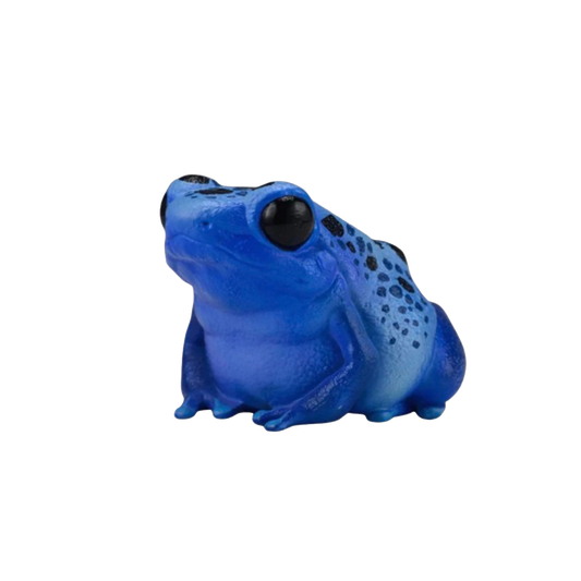 Cobalt Poison Dart Frog | Dendrobates Tinctorius