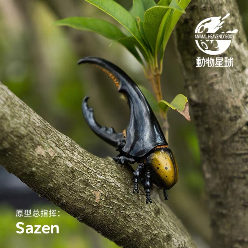 Hercules Beetle (Yellow Wing) | Dynastes Hercules