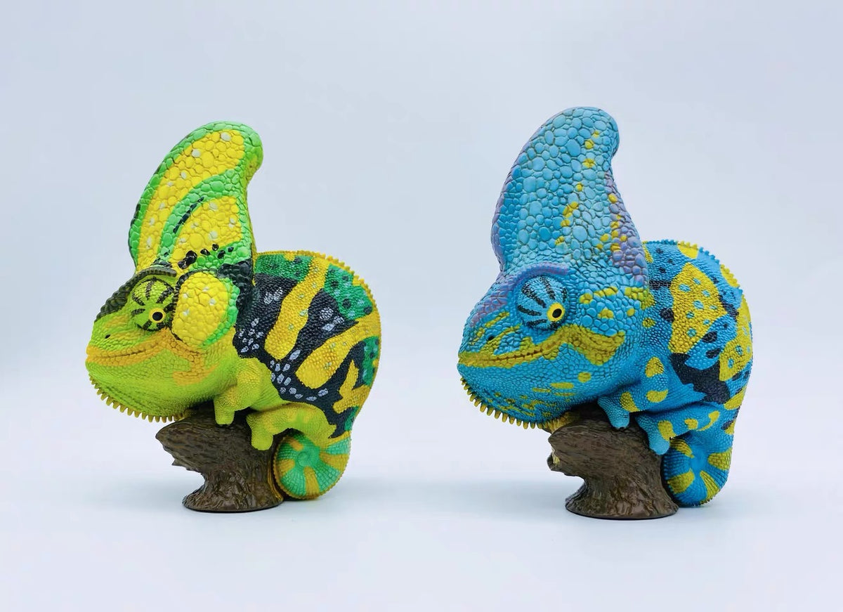 Veiled Chameleon (Blue) | Chamaeleo Calyptratus