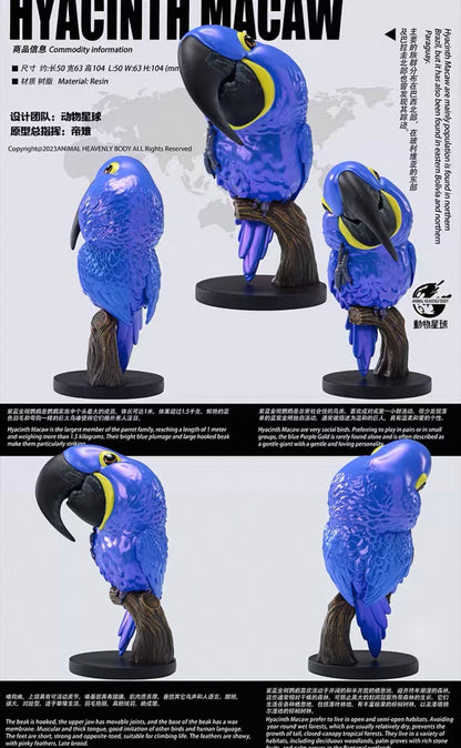Hyacinth Macaw | Anodorhynchus Hyacinthinus