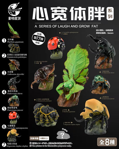Giant Leaf Insect | Pulchriphyllium Giganteum
