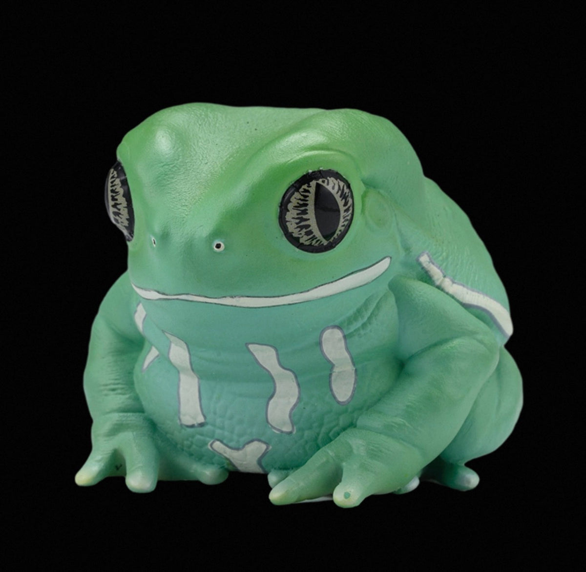 Waxy Monkey Tree Frog | Phyllomedusa Sauvagii