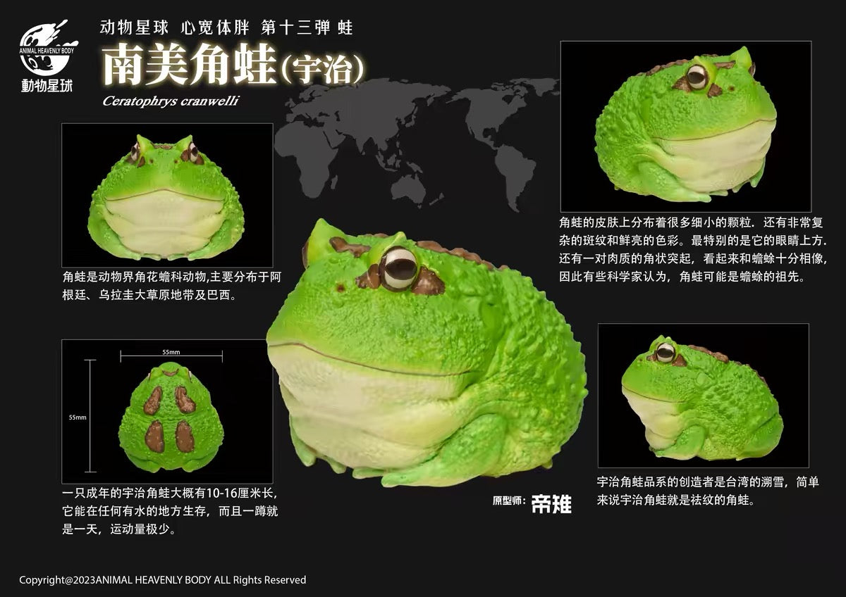 Cranwells Horned Frog | Ceratophrys Cranwelli