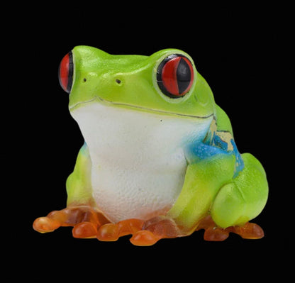 Red Eyed Tree Frog | Agalychnis Callidryas