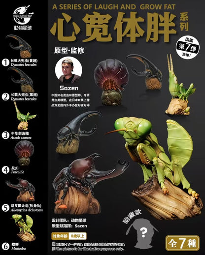 Oriental Longheaded Grasshopper | Acrida Cinerea