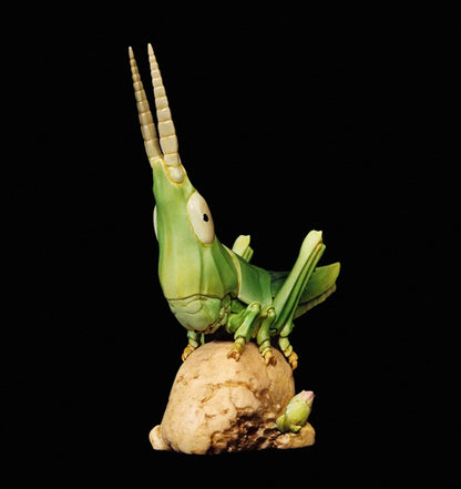 Oriental Longheaded Grasshopper | Acrida Cinerea