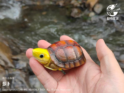 Golden-headed Box Turtle | Cuora Aurocapitata