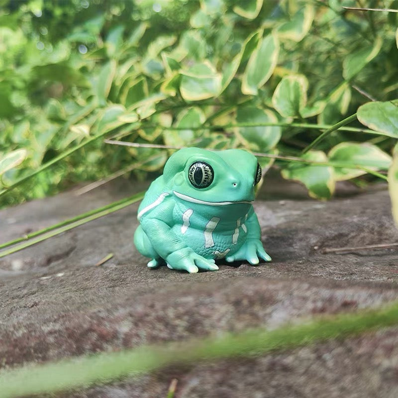 Waxy Monkey Tree Frog | Phyllomedusa Sauvagii
