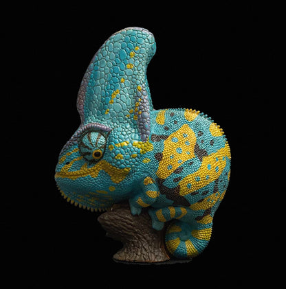 Veiled Chameleon (Blue) | Chamaeleo Calyptratus