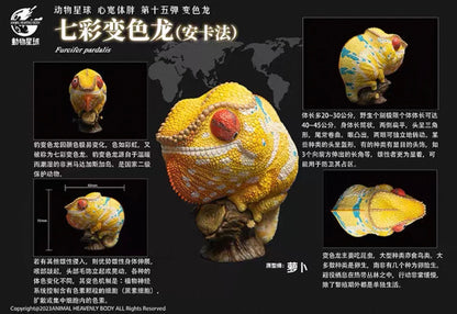 Panther Chameleon | Furcifer Pardalis