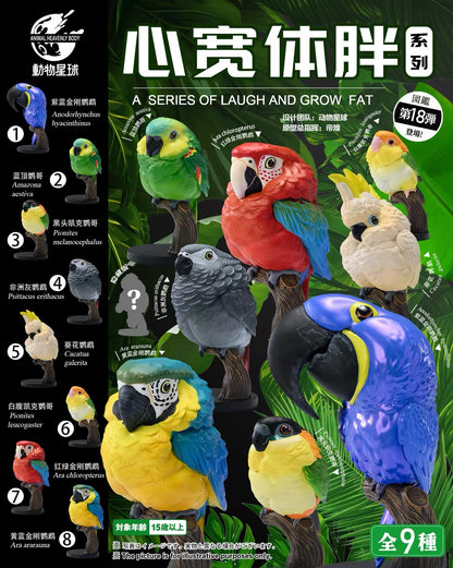 Hyacinth Macaw | Anodorhynchus Hyacinthinus