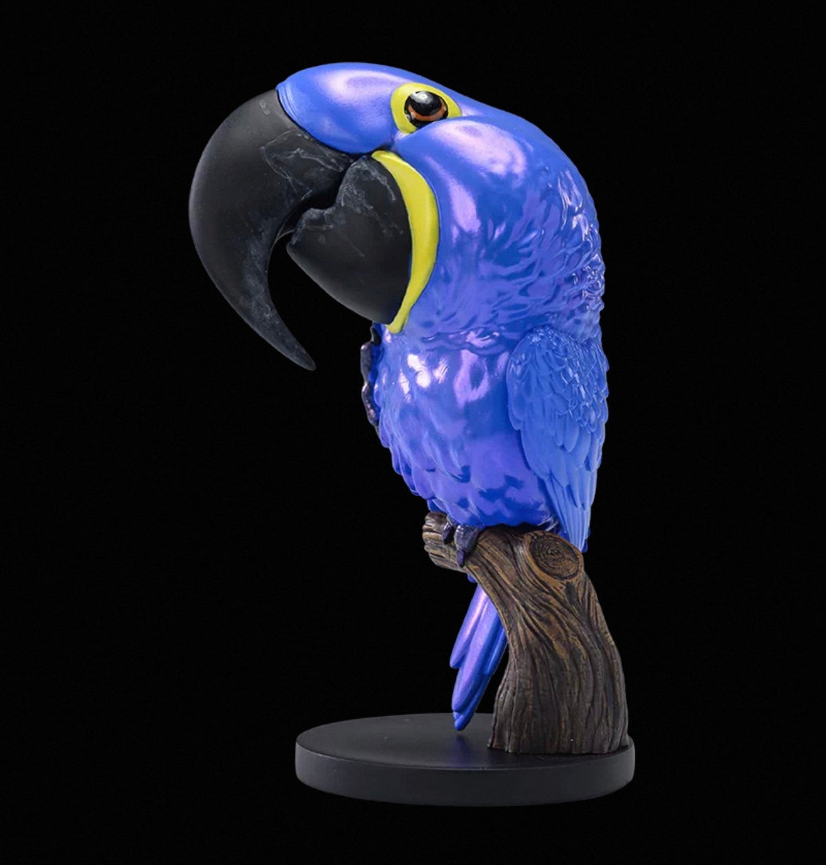 Hyacinth Macaw | Anodorhynchus Hyacinthinus