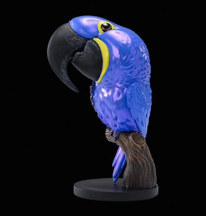 Hyacinth Macaw | Anodorhynchus Hyacinthinus