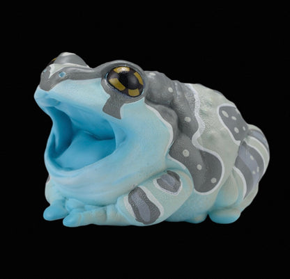 Amazon Milk Frog | Trachycephalus Resinifictrix